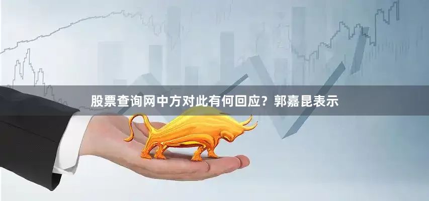 股票查询网中方对此有何回应？郭嘉昆表示