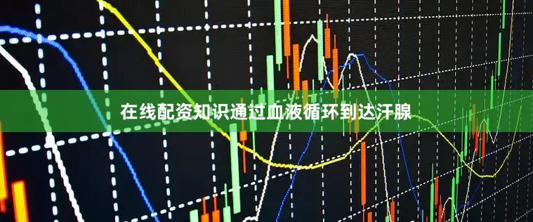 在线配资知识通过血液循环到达汗腺