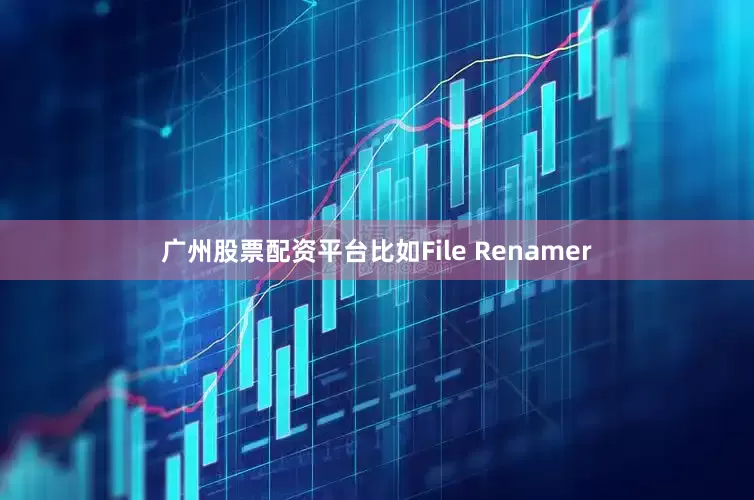 广州股票配资平台比如File Renamer