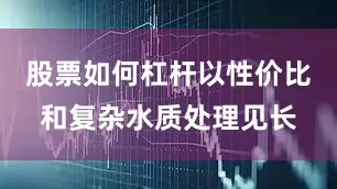 股票如何杠杆以性价比和复杂水质处理见长