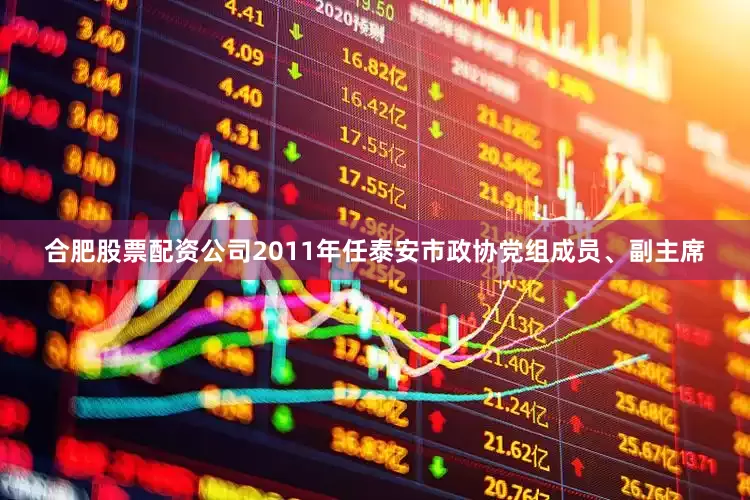 合肥股票配资公司2011年任泰安市政协党组成员、副主席